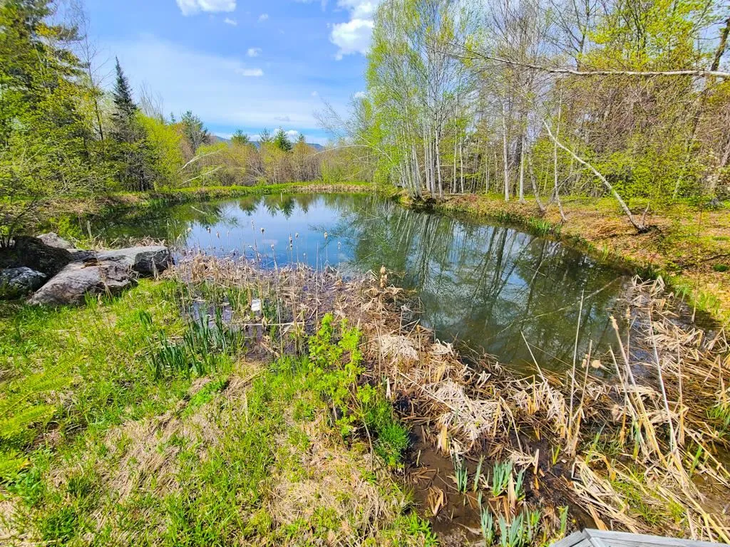 752 Mad Meadows Road Warren VT 05674