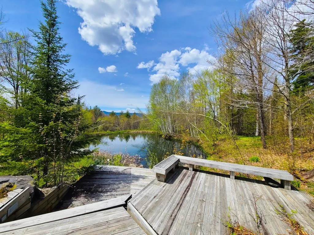 752 Mad Meadows Road Warren VT 05674