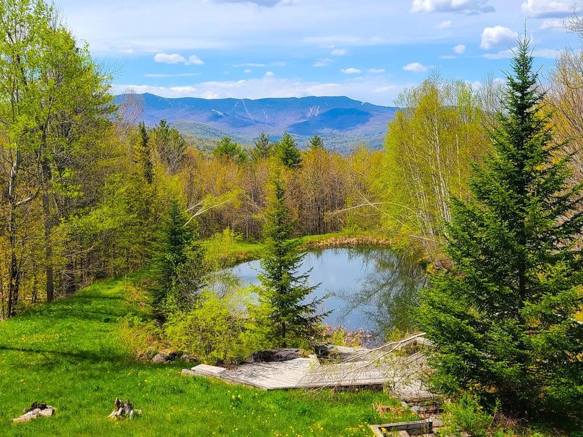 752 Mad Meadows Road Warren VT 05674