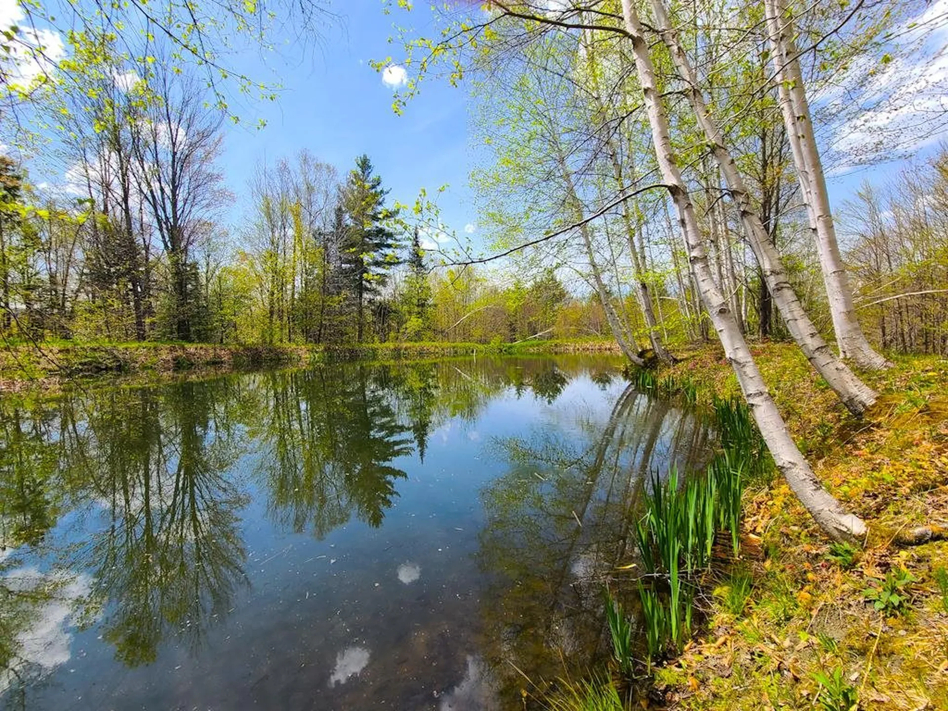 752 Mad Meadows Road Warren VT 05674