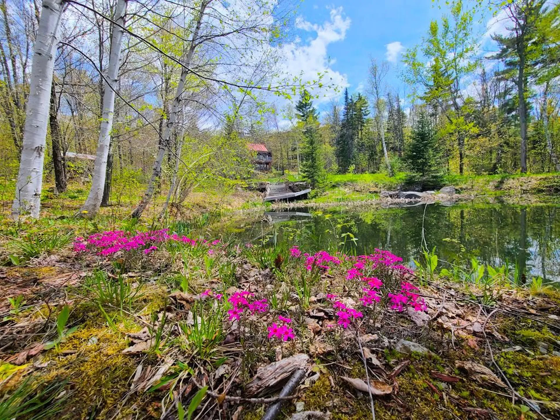 752 Mad Meadows Road Warren VT 05674