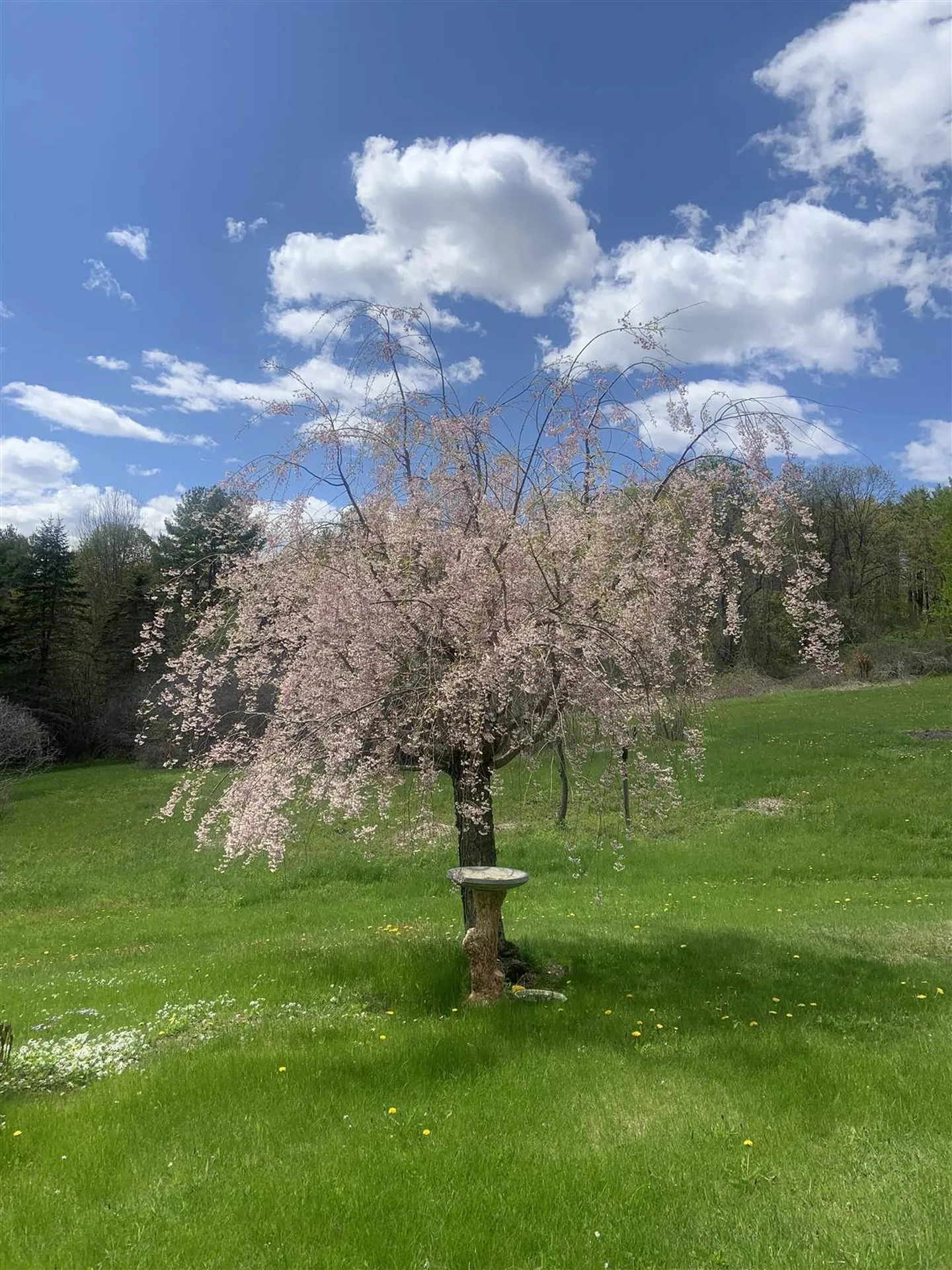 225 Lancaster Hill Road Tilton NH 03276
