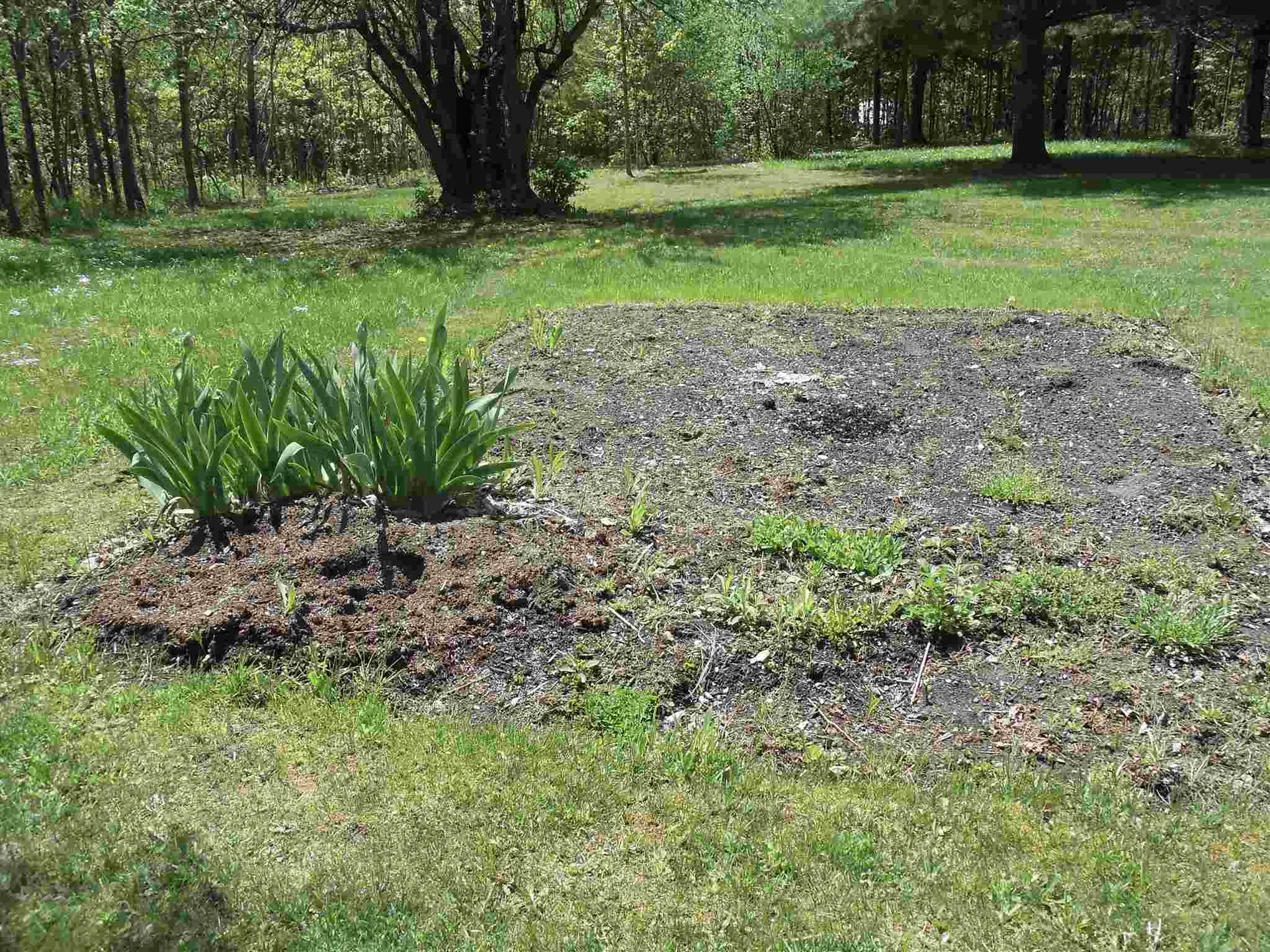 2512 Dartt Hill Road Bethel VT 05032