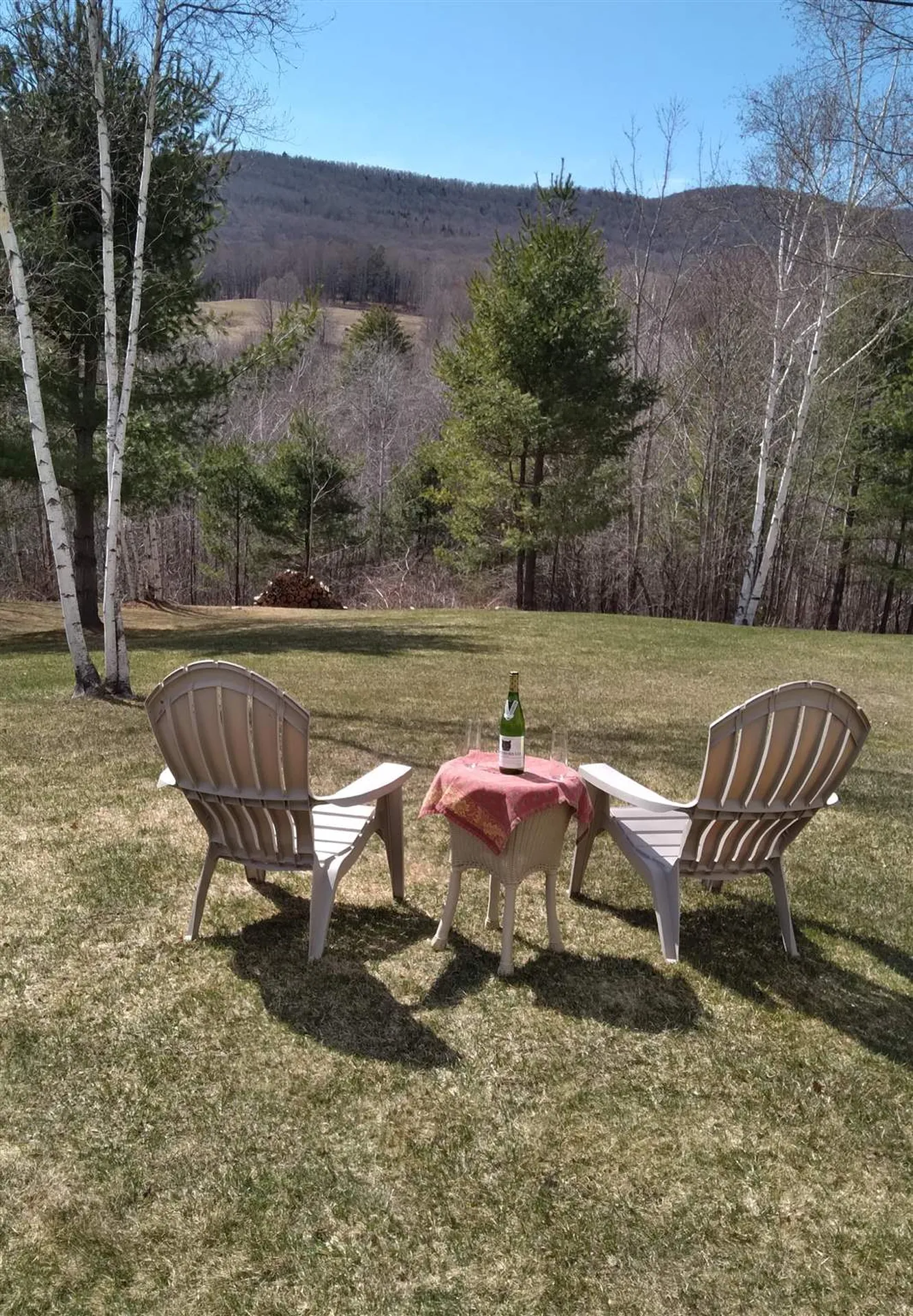 2512 Dartt Hill Road Bethel VT 05032