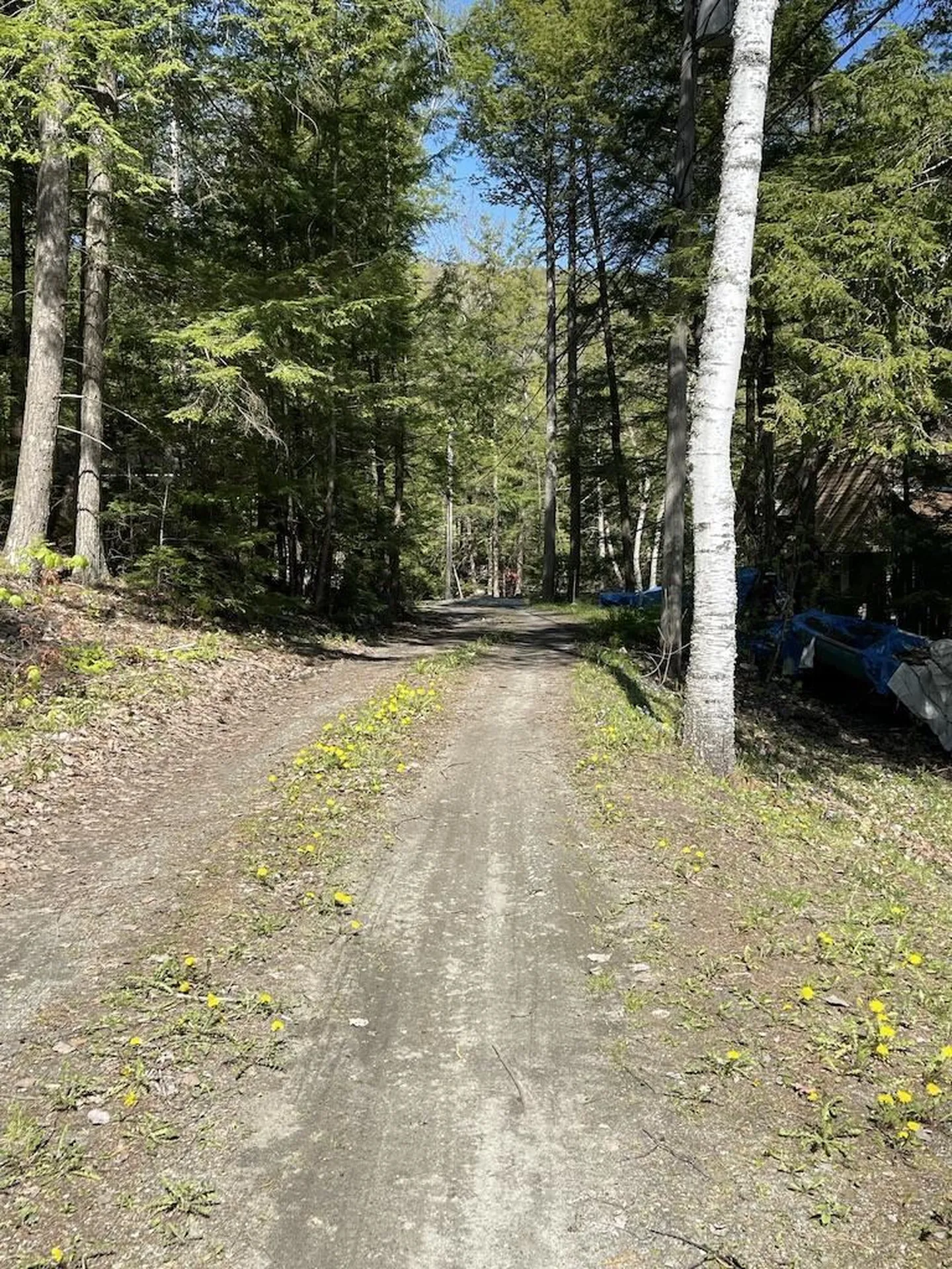 213 Algonquin Road Enfield NH 03748