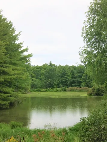 2044 Lake Road Panton VT 05491