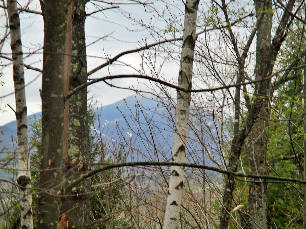 623 Bergeron Road Troy VT 05859