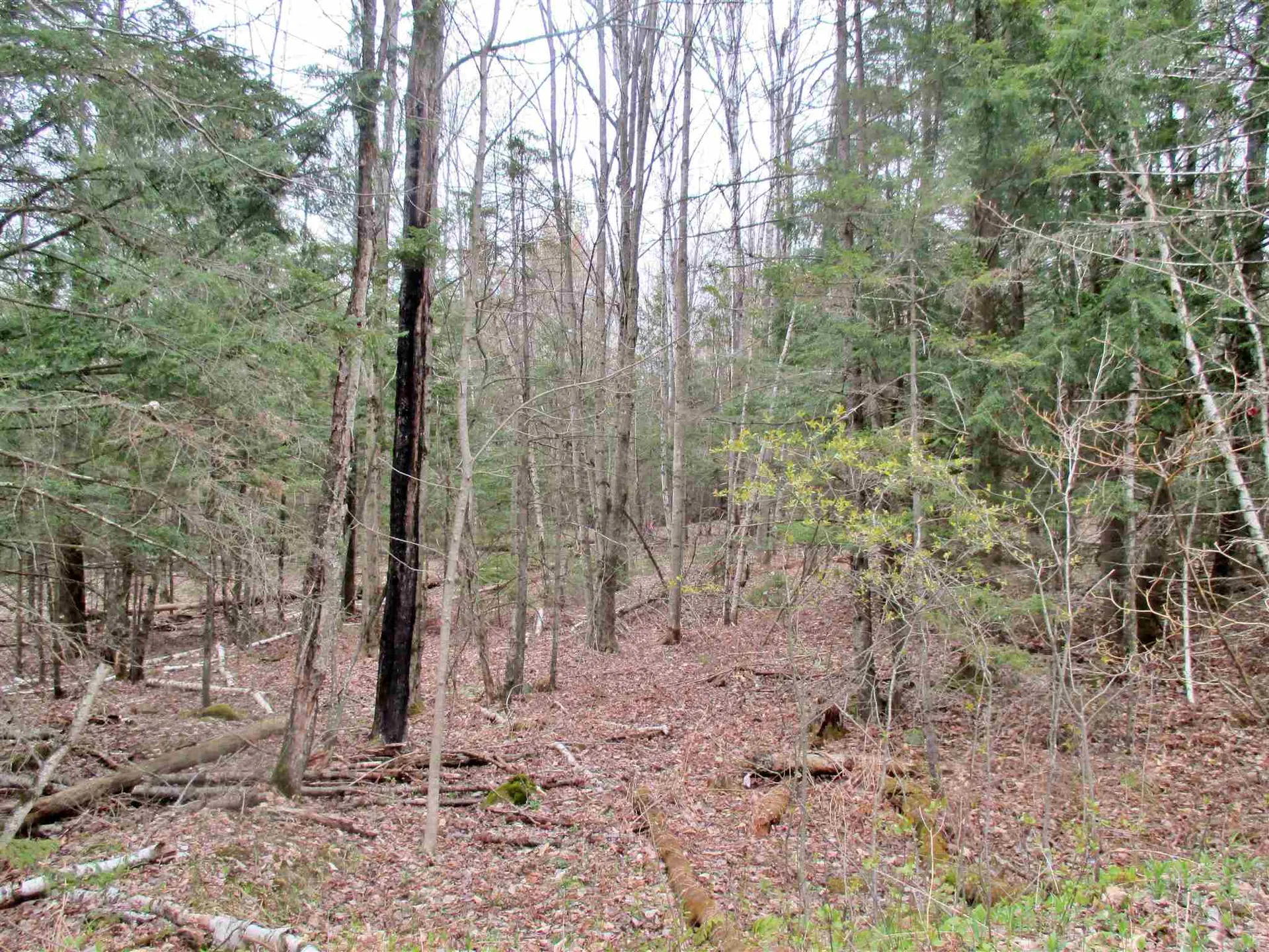 623 Bergeron Road Troy VT 05859