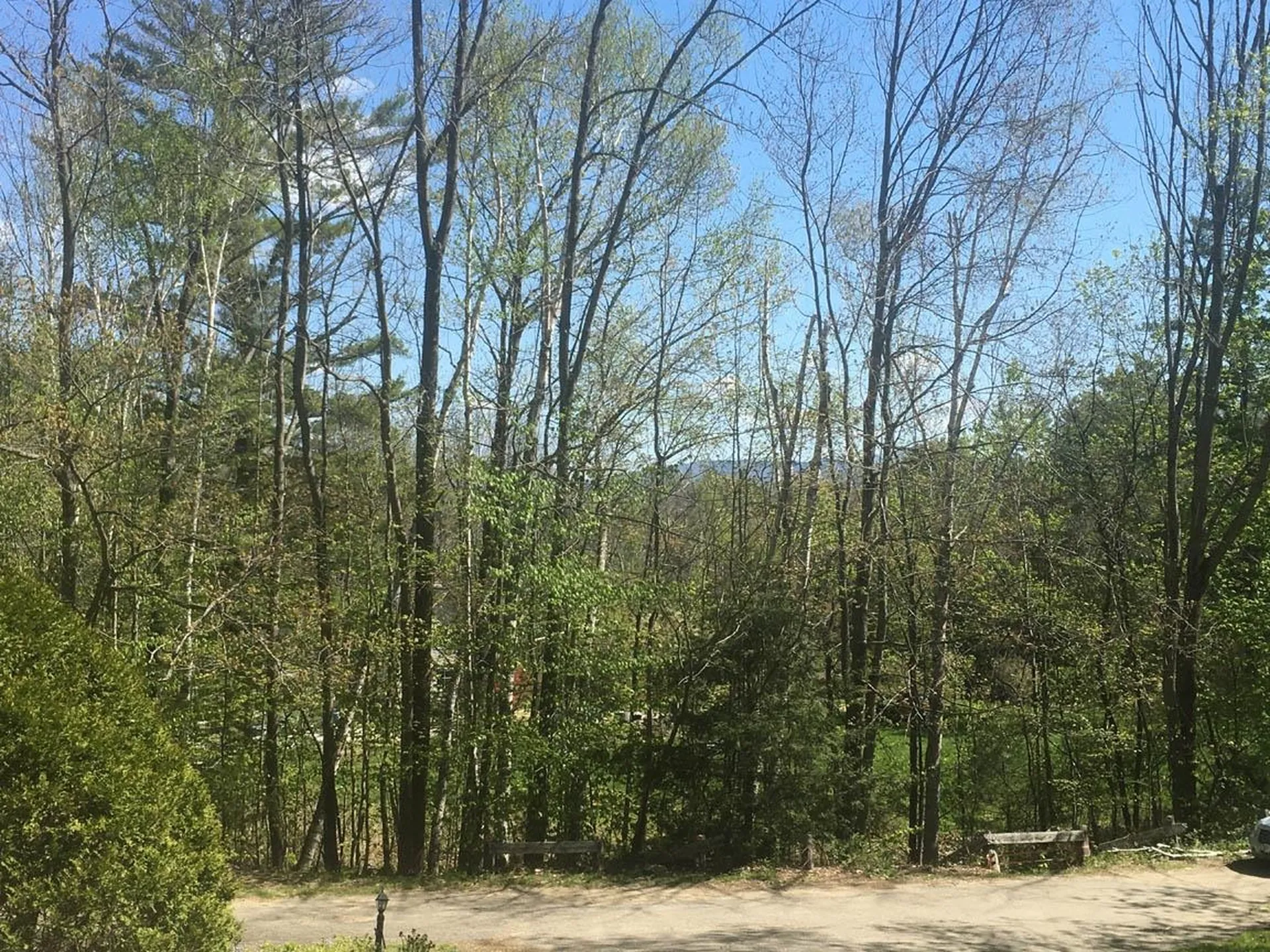 12 Ivy Lane Plymouth NH 03264