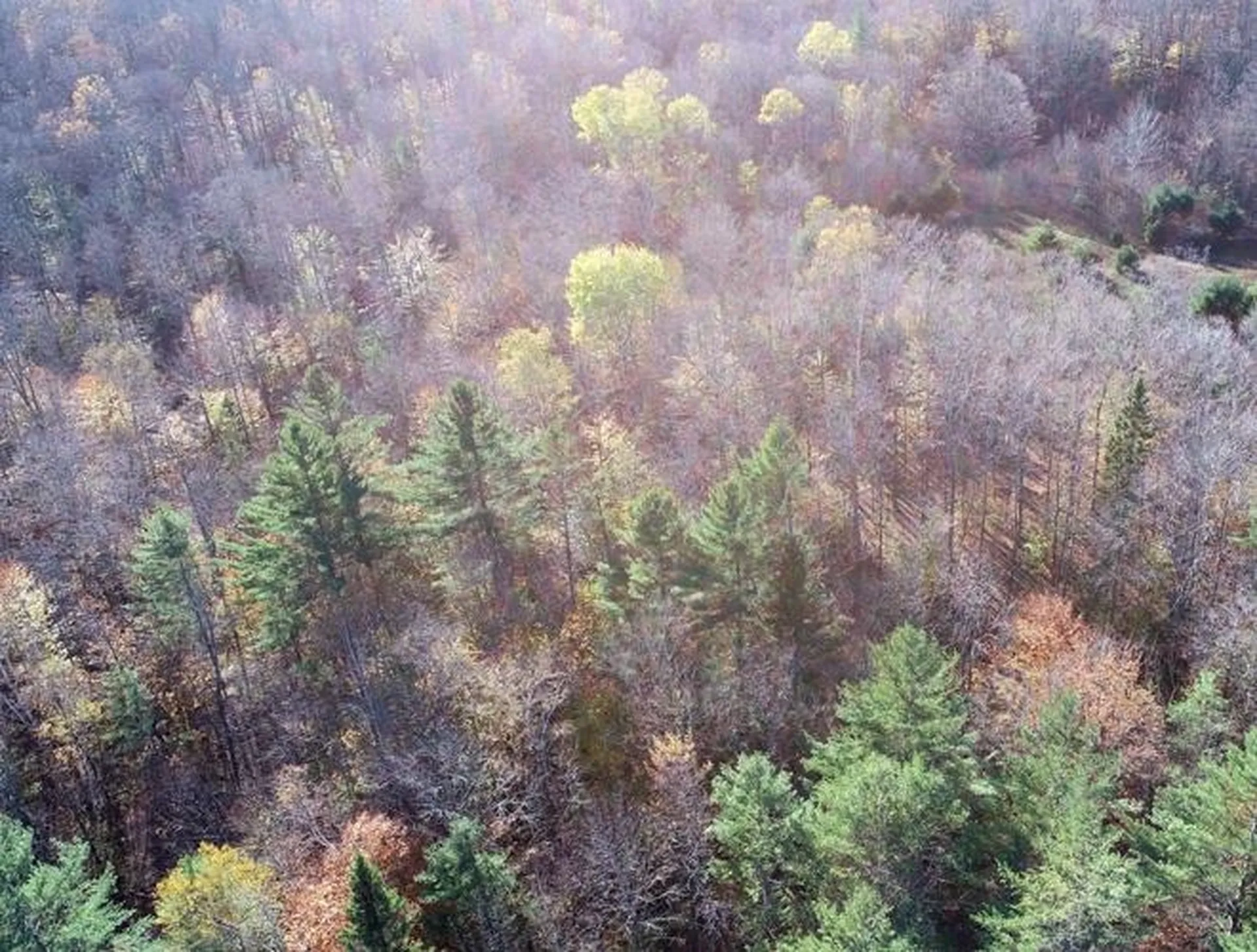 0 Phelps Road Topsham VT 05041