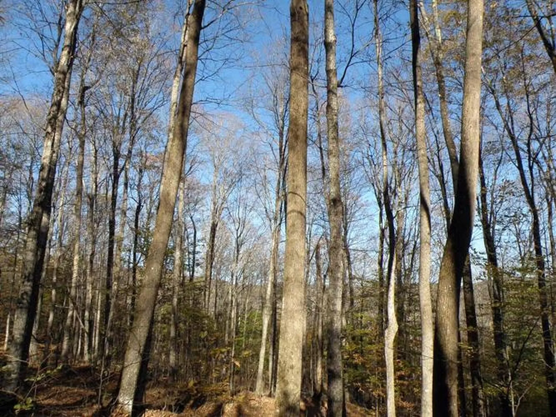 0 Phelps Road Topsham VT 05041