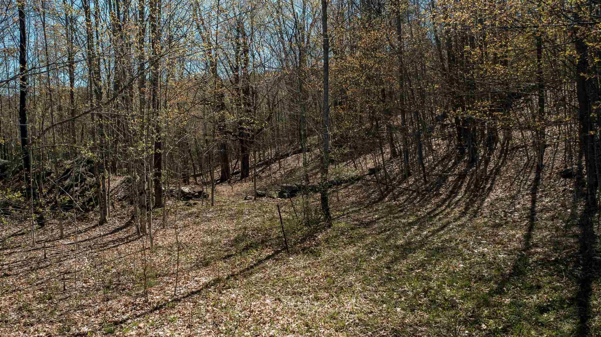00 North Colby Road Thetford VT 05075