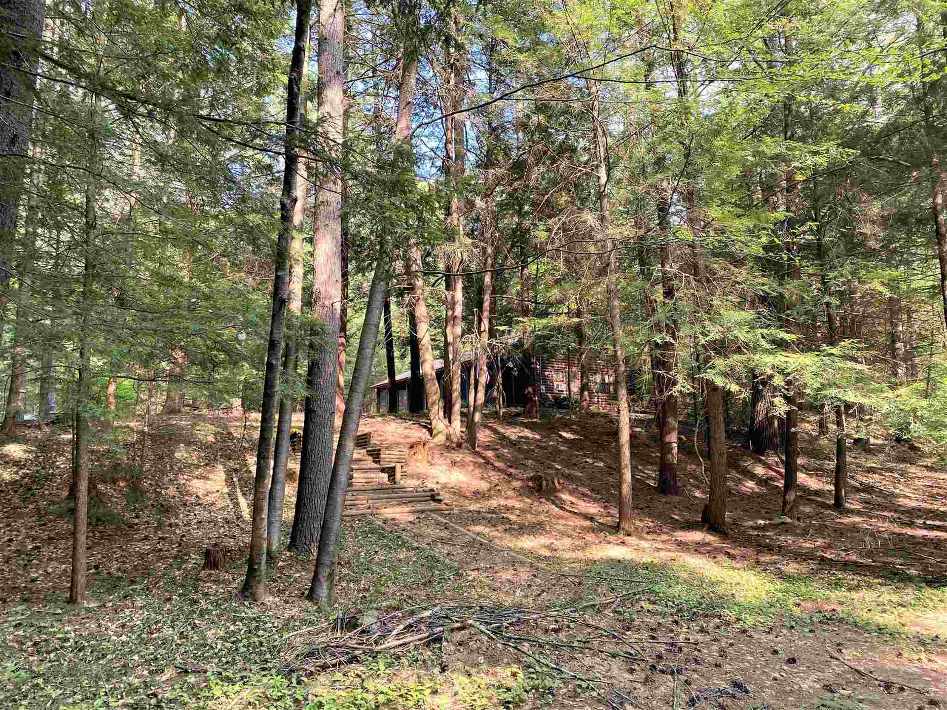 20 Whipple Hill Road Richmond NH 03470
