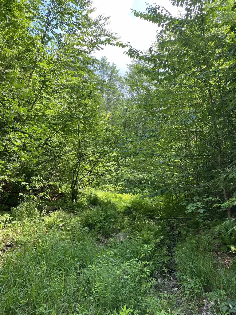 Old Range Road Sanbornton NH 03269