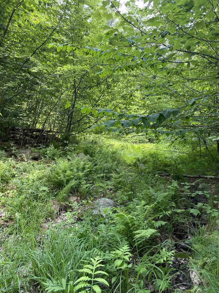 Old Range Road Sanbornton NH 03269