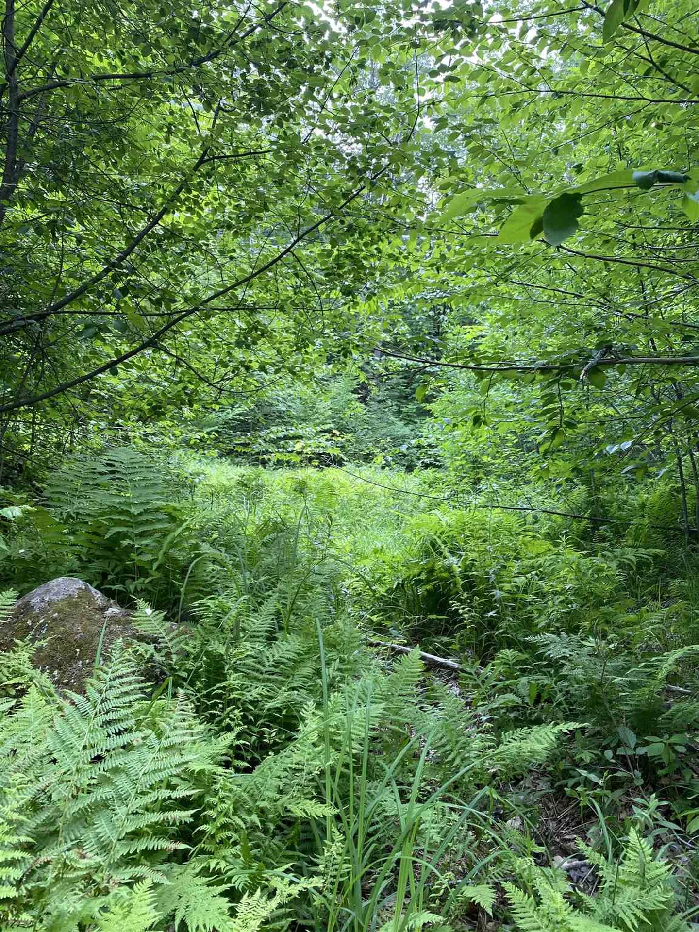 Old Range Road Sanbornton NH 03269