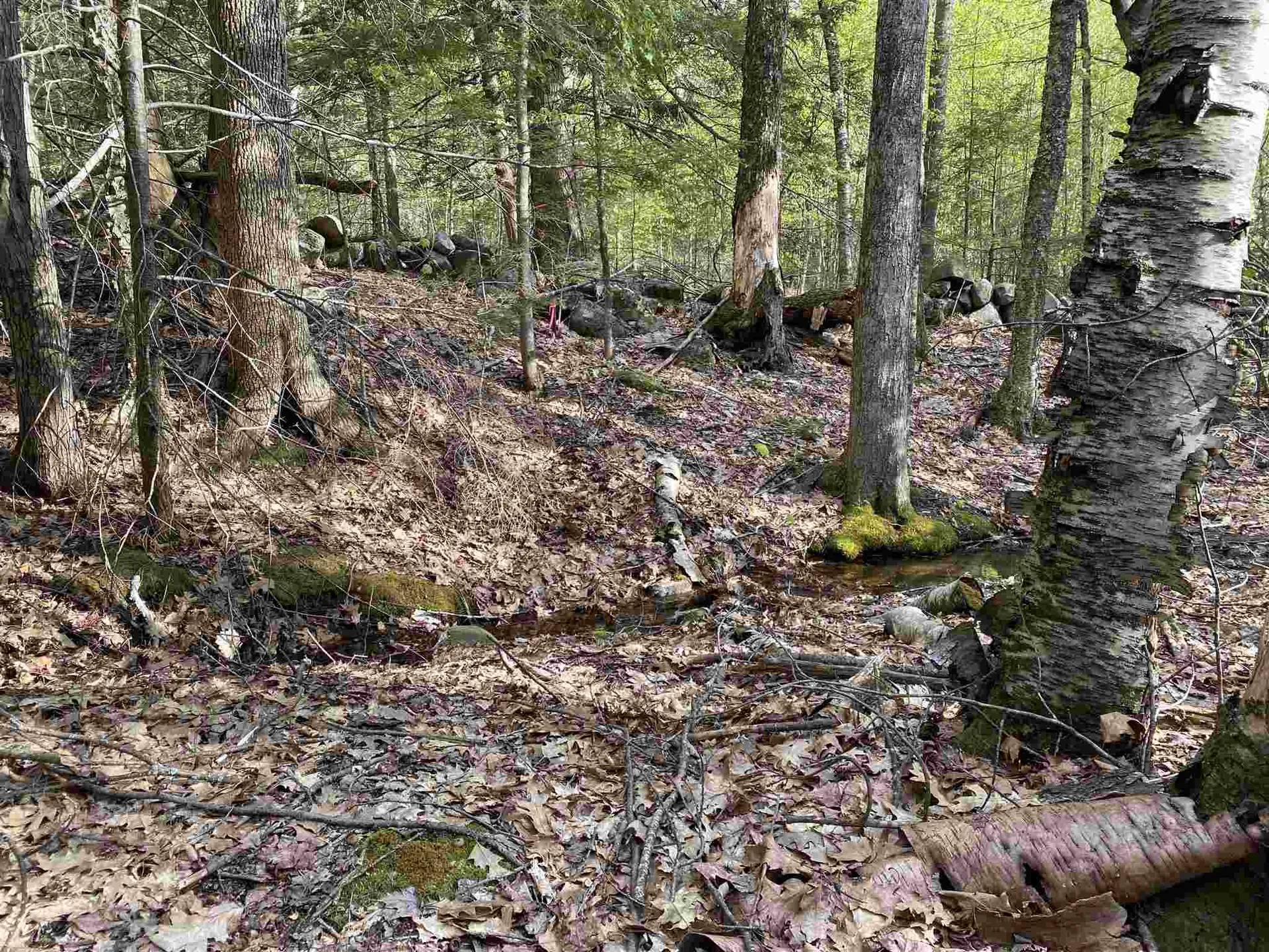 Old Range Road Sanbornton NH 03269