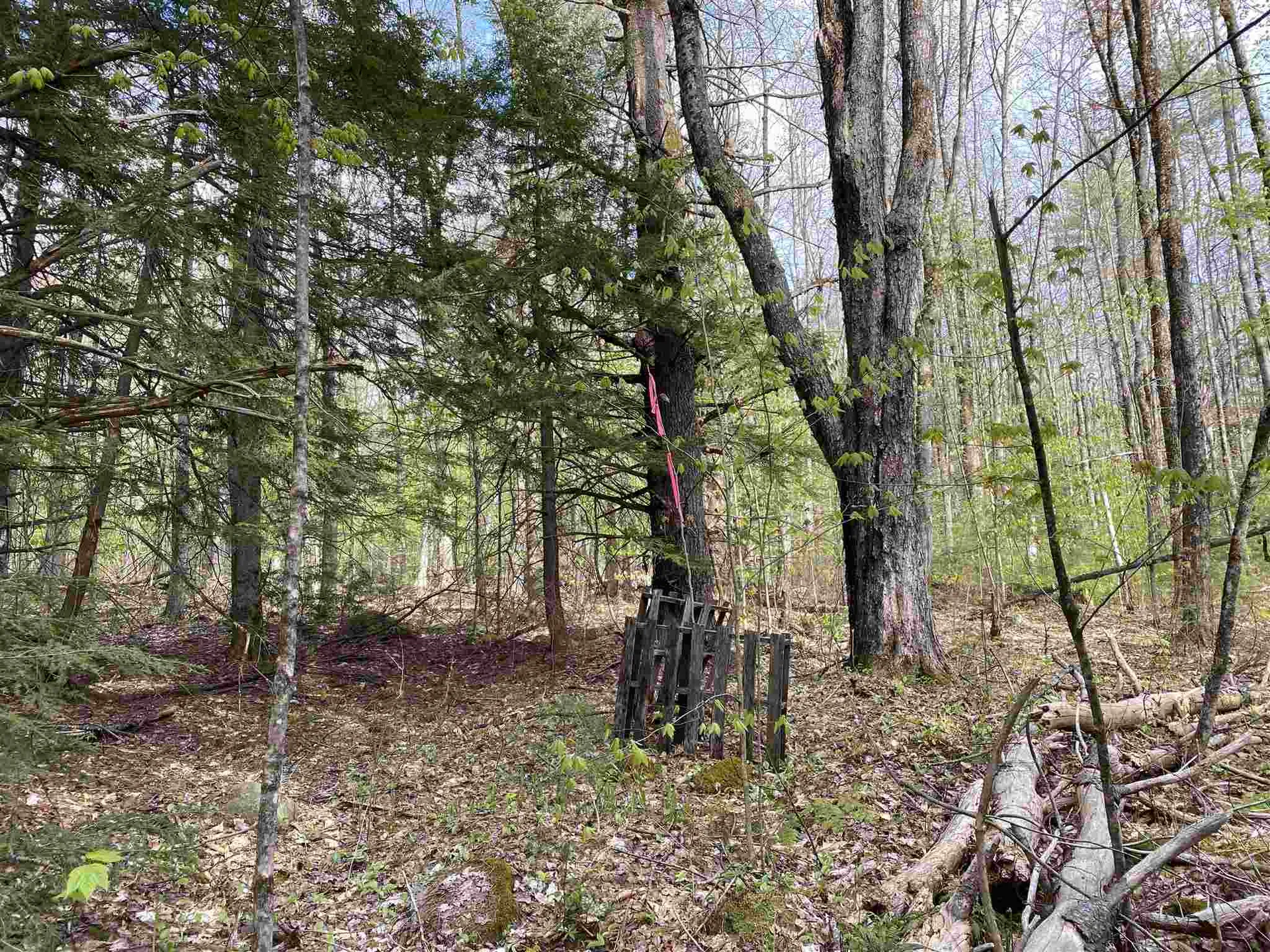 Old Range Road Sanbornton NH 03269