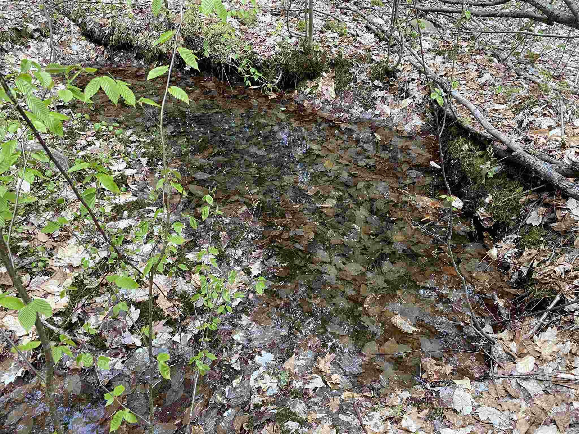 Old Range Road Sanbornton NH 03269