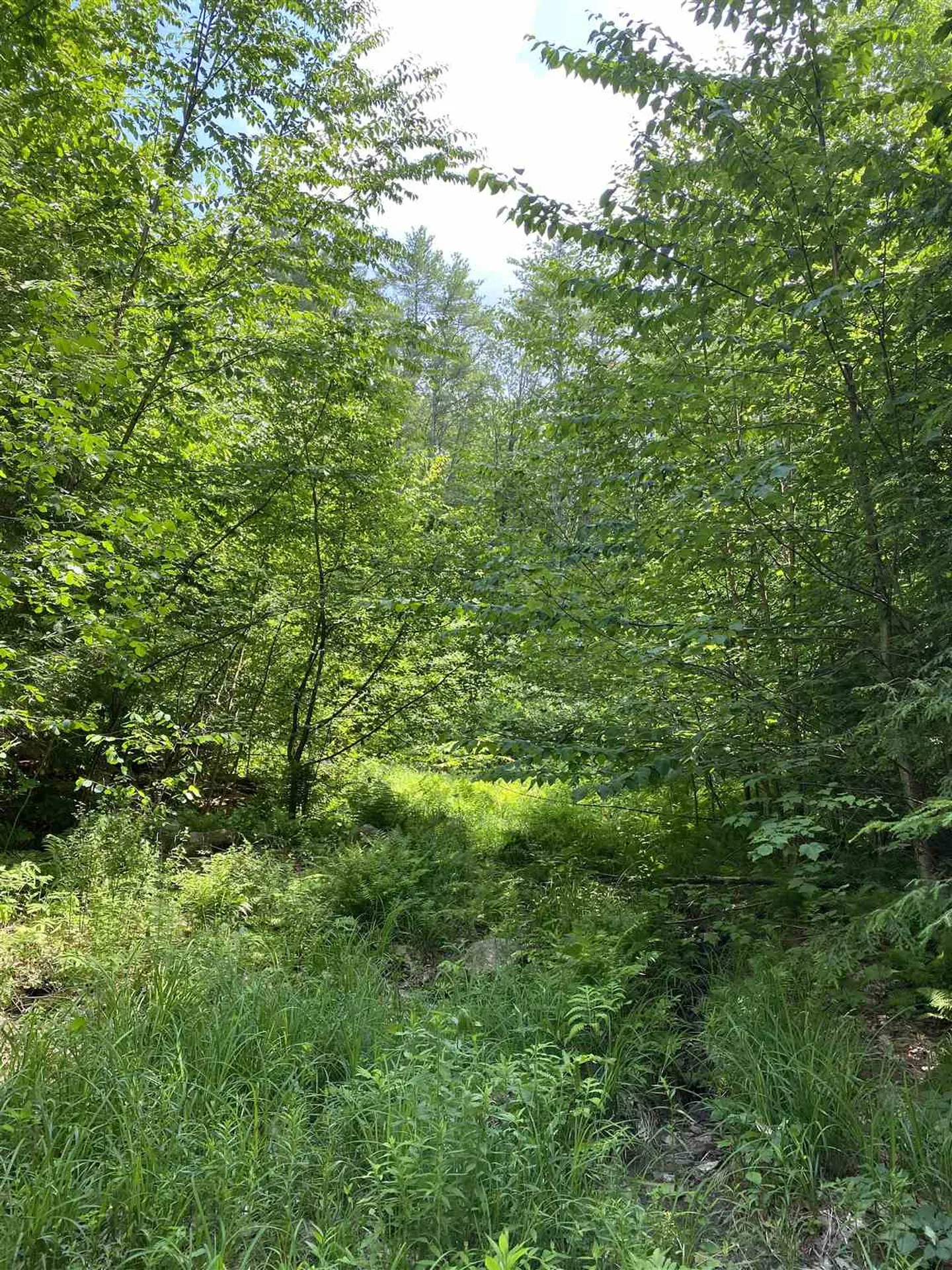 Old Range Road Sanbornton NH 03269