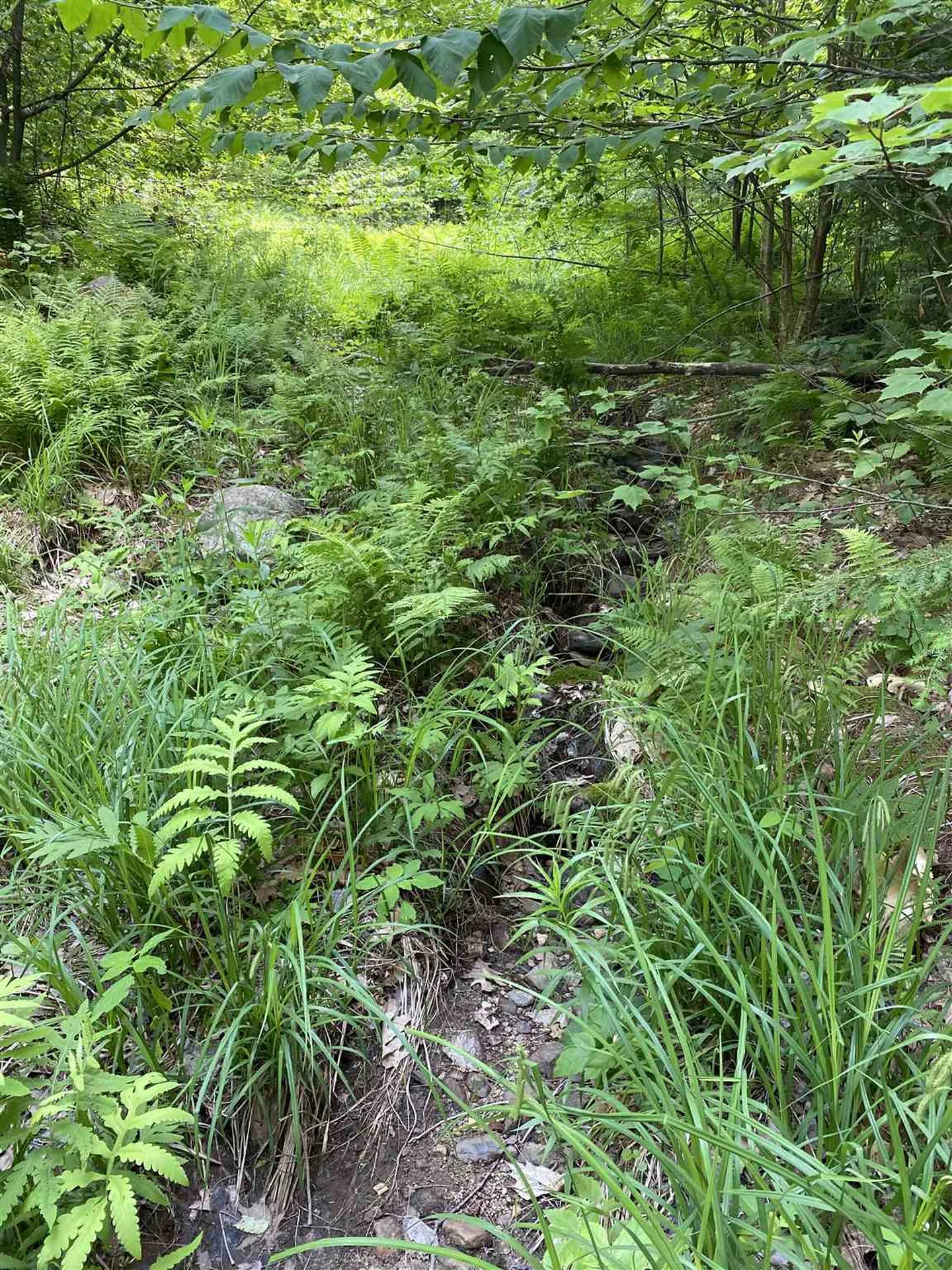 Old Range Road Sanbornton NH 03269