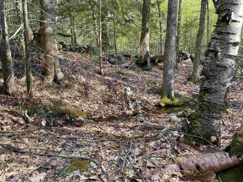 Old Range Road Sanbornton NH 03269