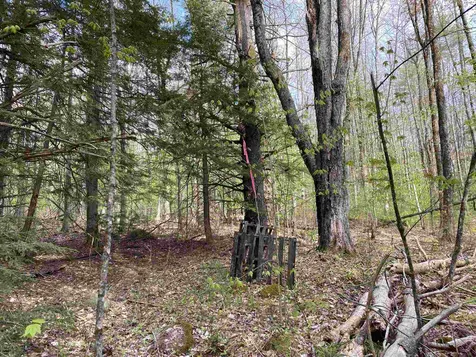 Old Range Road Sanbornton NH 03269