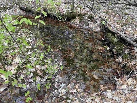 Old Range Road Sanbornton NH 03269