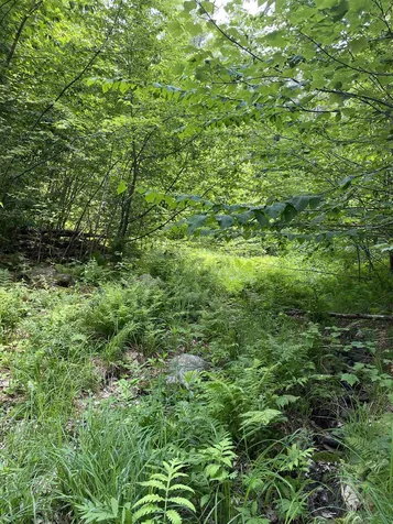 Old Range Road Sanbornton NH 03269