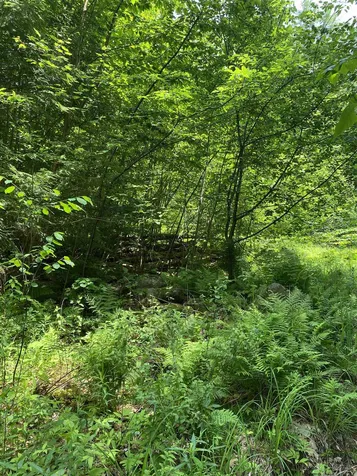 Old Range Road Sanbornton NH 03269