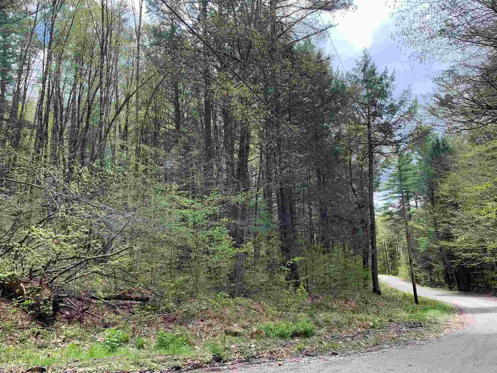 00 Robin Hill Road Townshend VT 05353