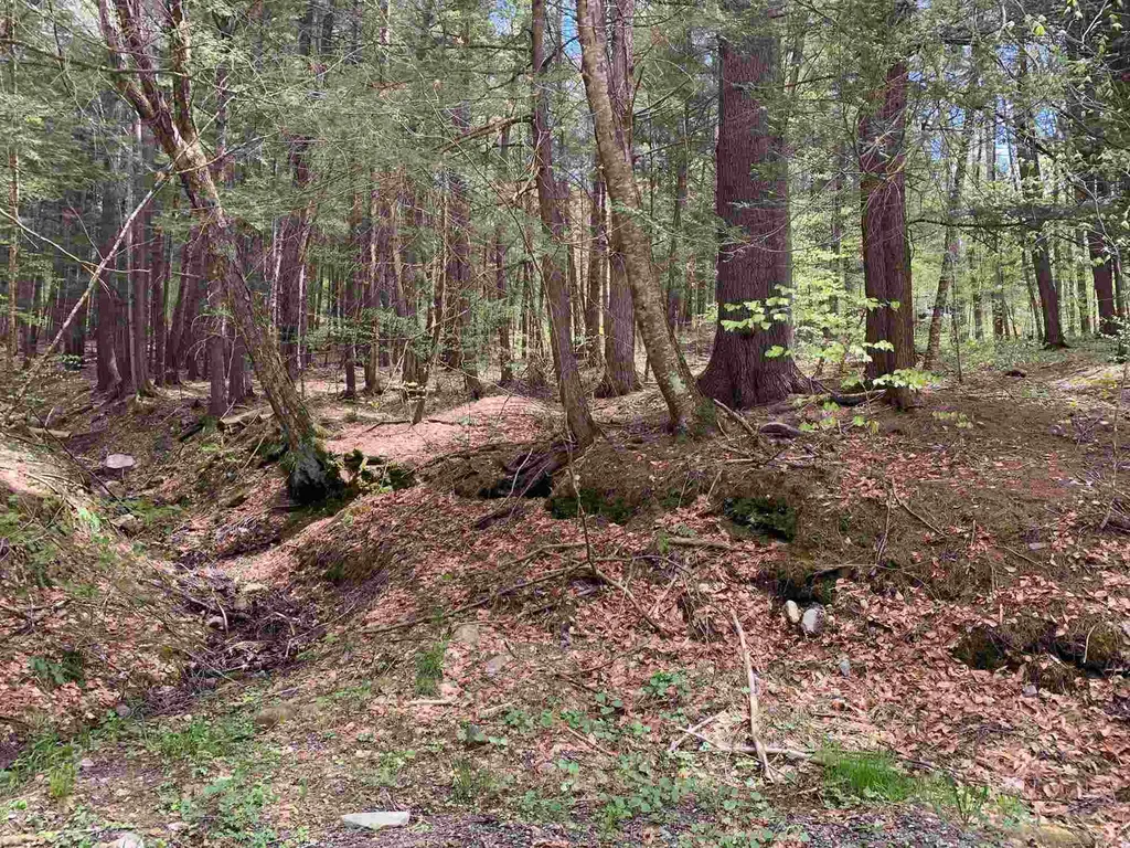 00 Robin Hill Road Townshend VT 05353