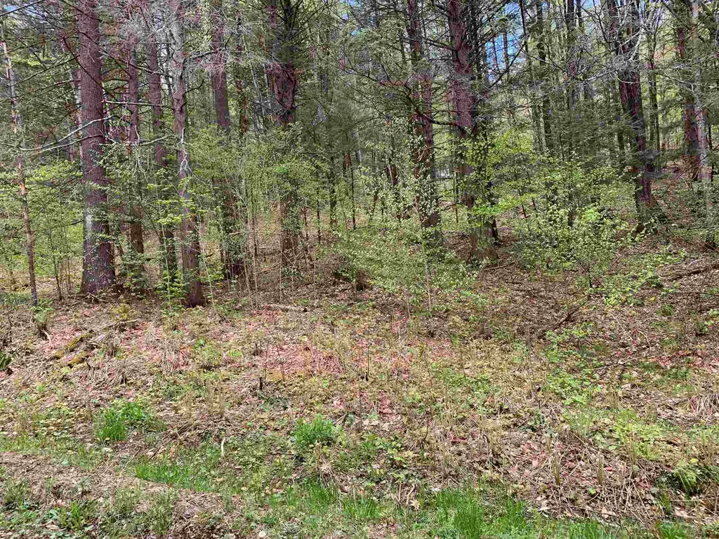 00 Robin Hill Road Townshend VT 05353
