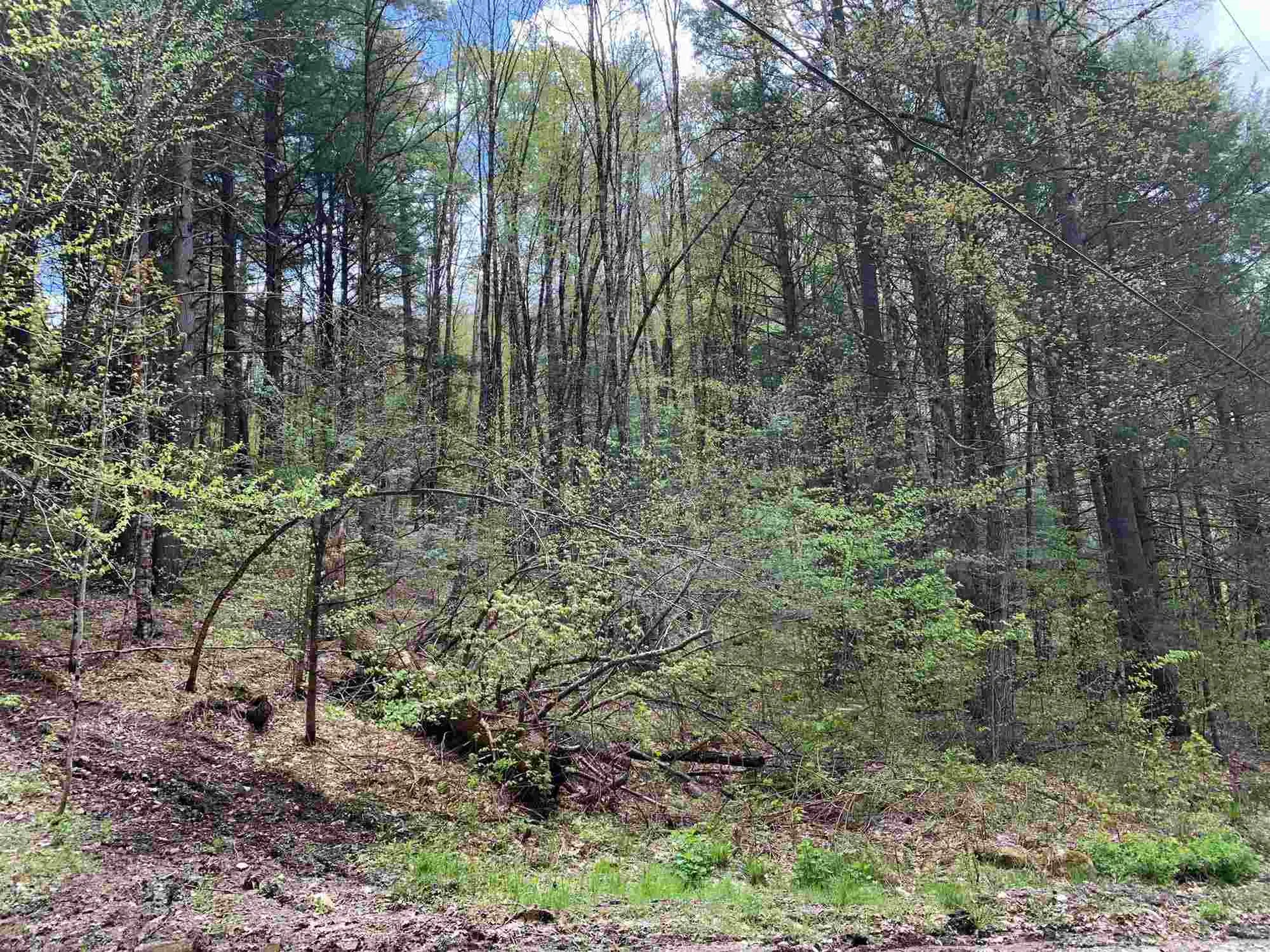 00 Robin Hill Road Townshend VT 05353