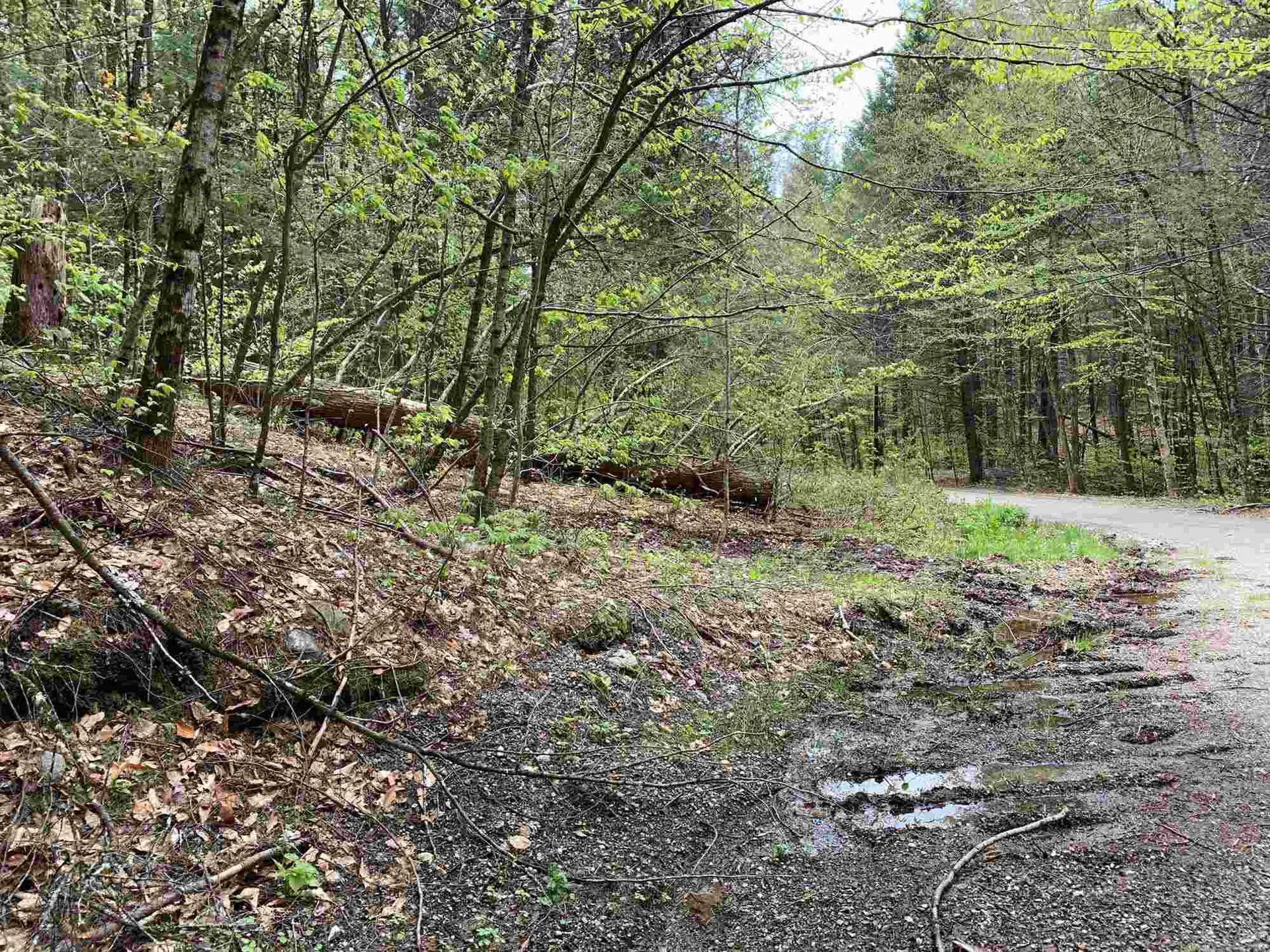 00 Robin Hill Road Townshend VT 05353