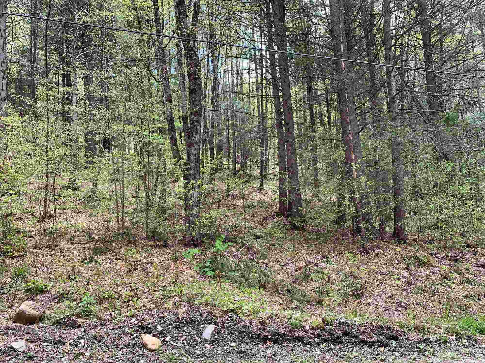00 Robin Hill Road Townshend VT 05353