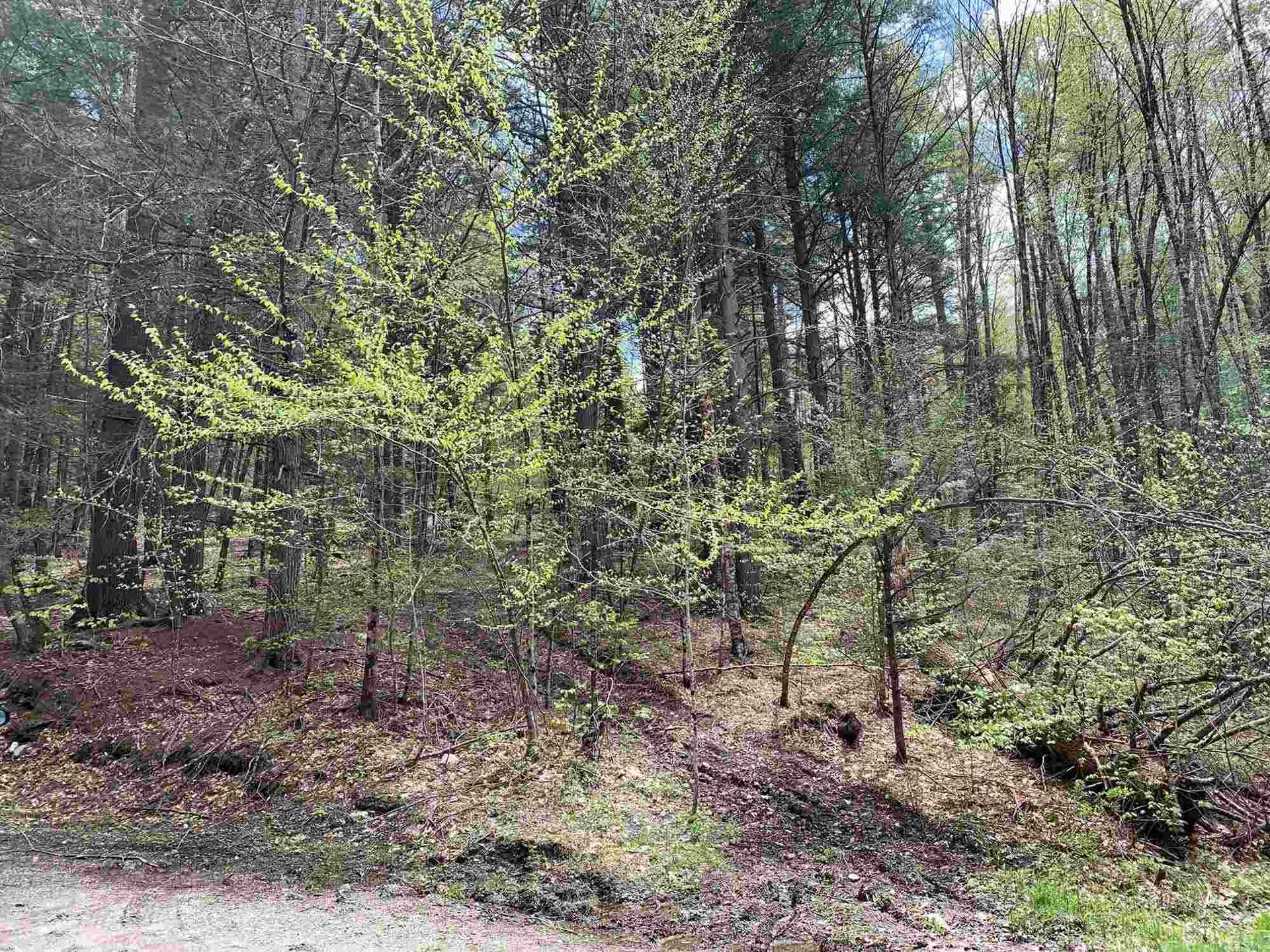 00 Robin Hill Road Townshend VT 05353