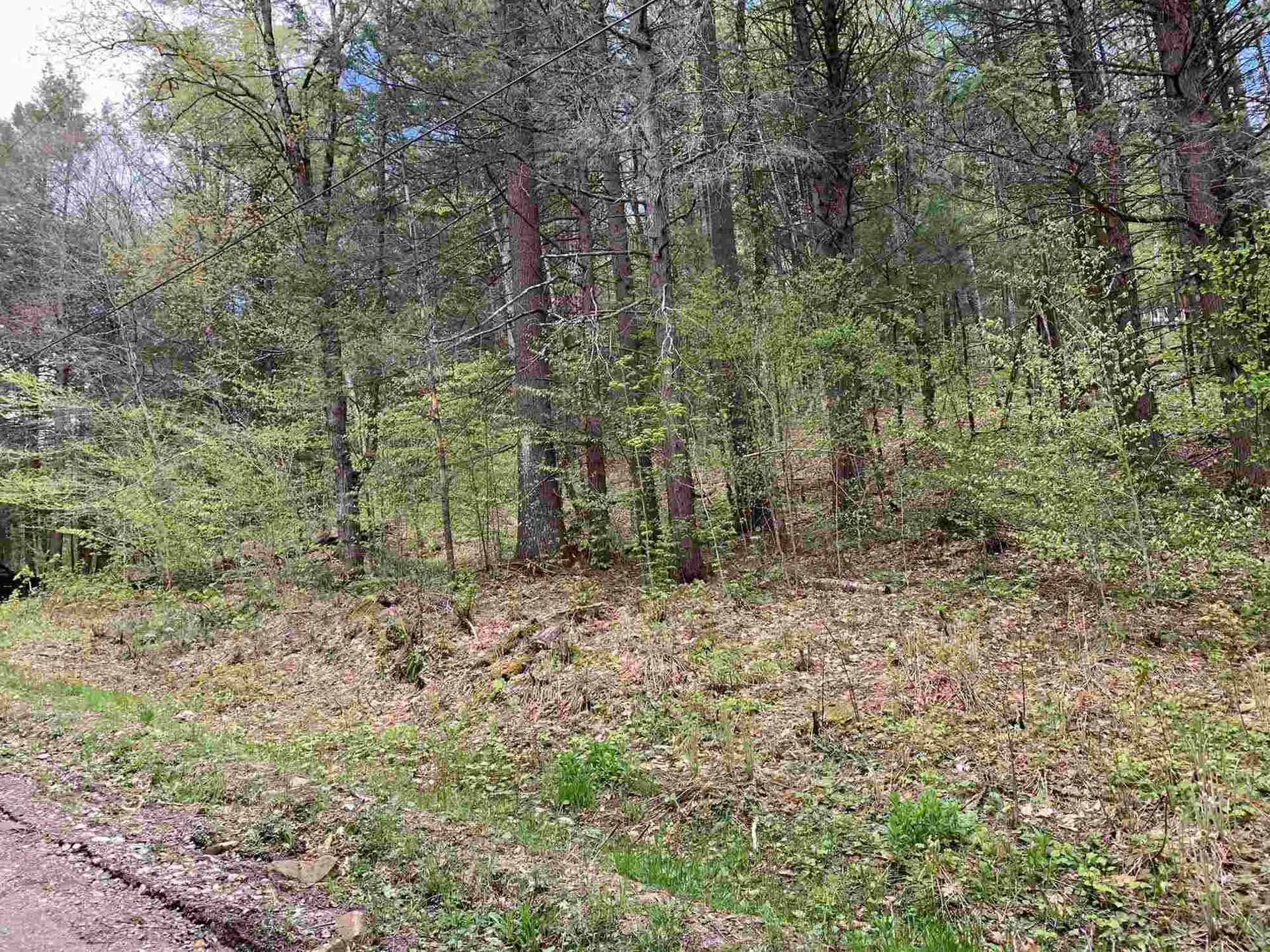 00 Robin Hill Road Townshend VT 05353