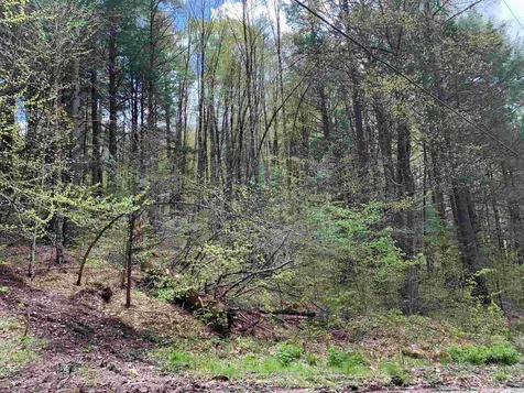 00 Robin Hill Road Townshend VT 05353