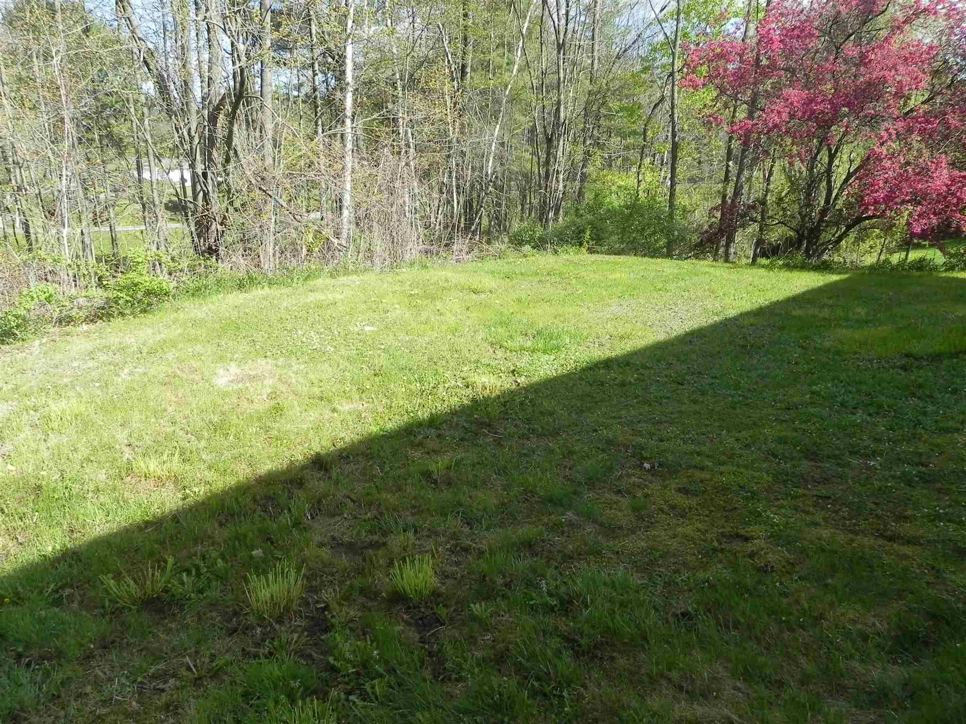 54 Birchwood Drive Colchester VT 05446