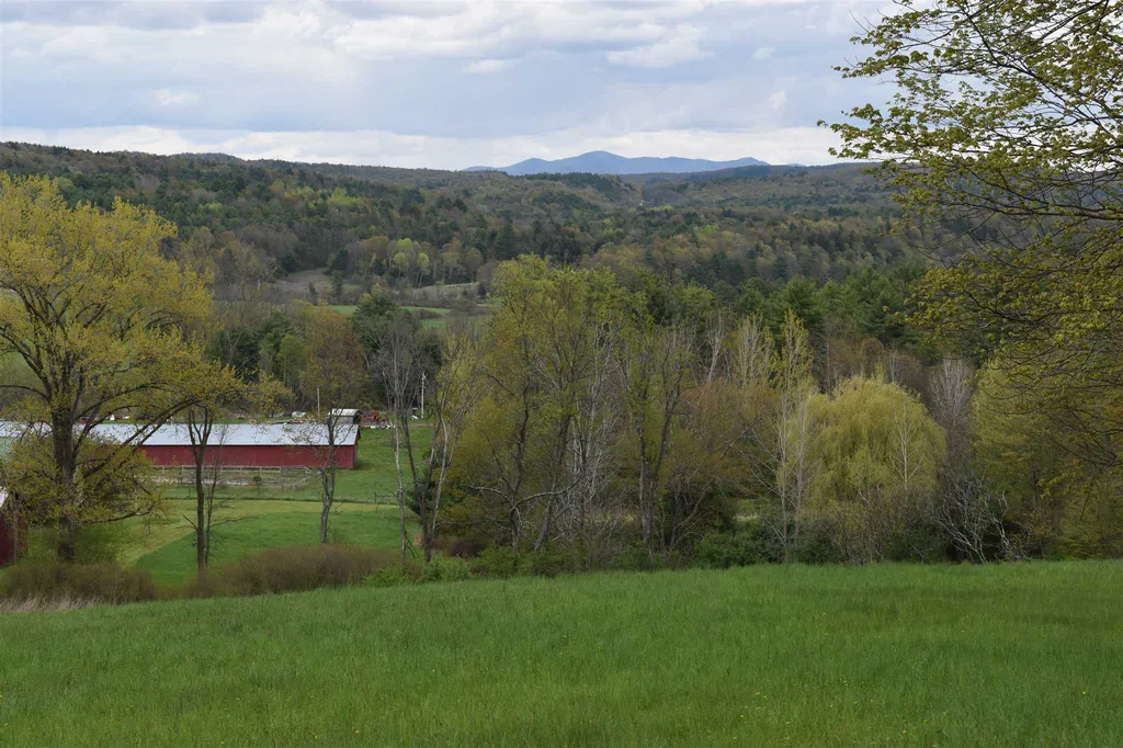 213 Young Road Orwell VT 05760