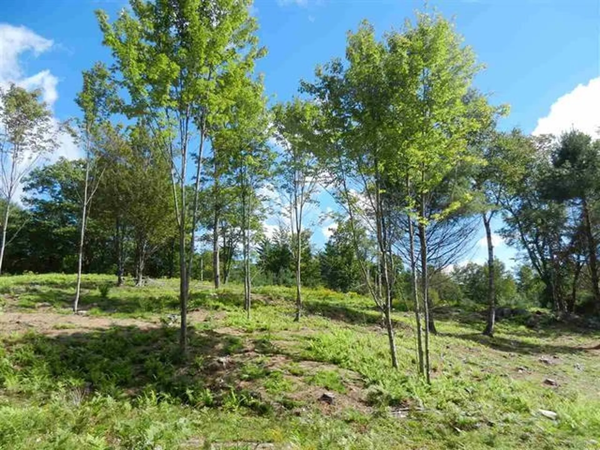 00 Meetinghouse Road Norwich VT 05055