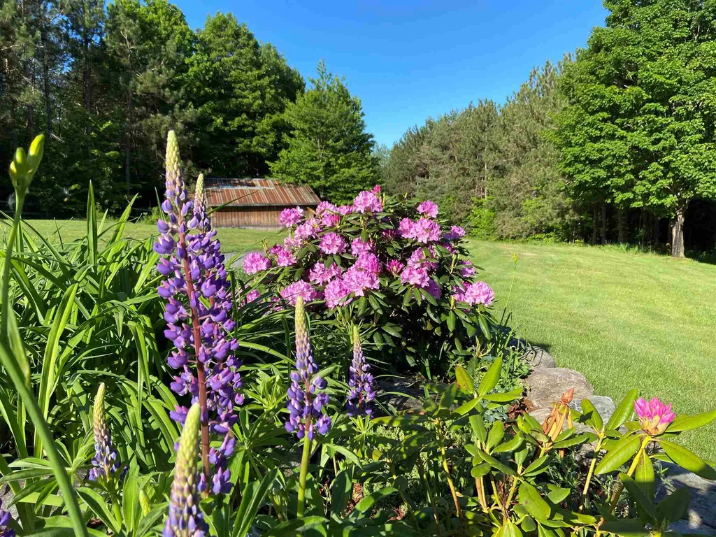 143 Beartown Road Underhill VT 05489
