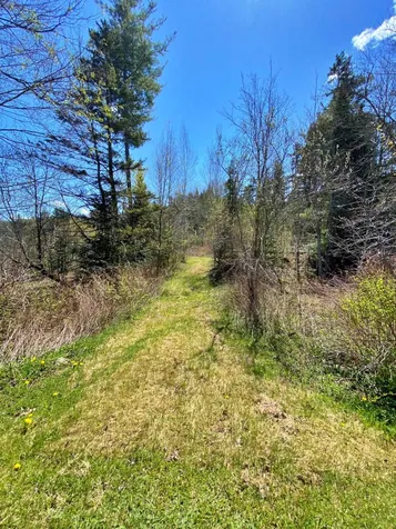 1723 Vt Route 14 Irasburg VT 05845