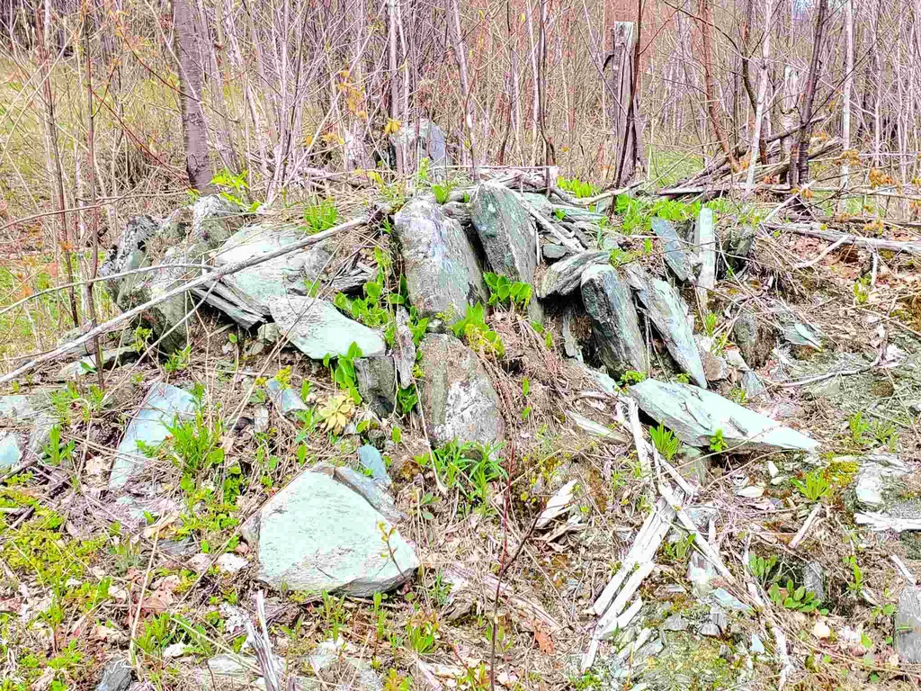 1705 Charlie Wilson Road Bethel VT 05032