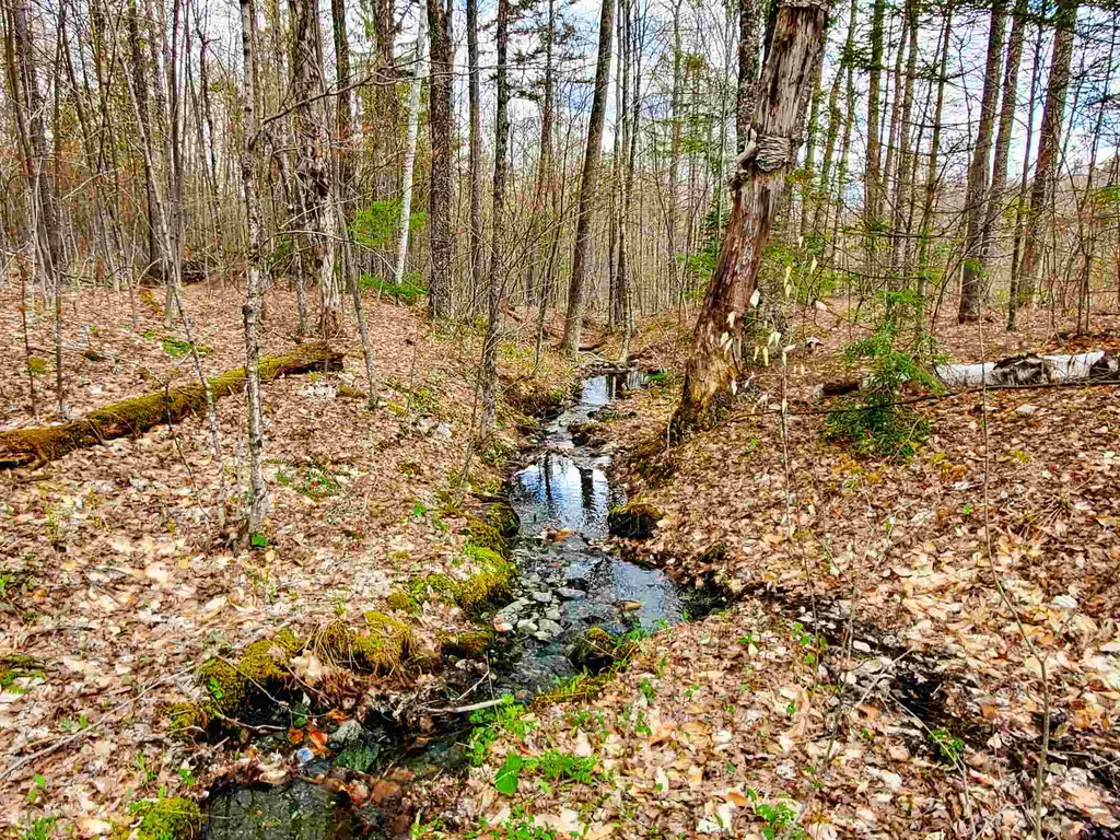 1705 Charlie Wilson Road Bethel VT 05032