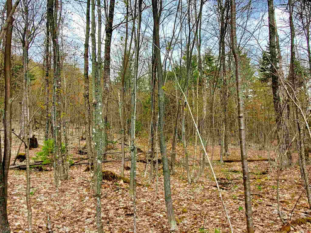 1705 Charlie Wilson Road Bethel VT 05032