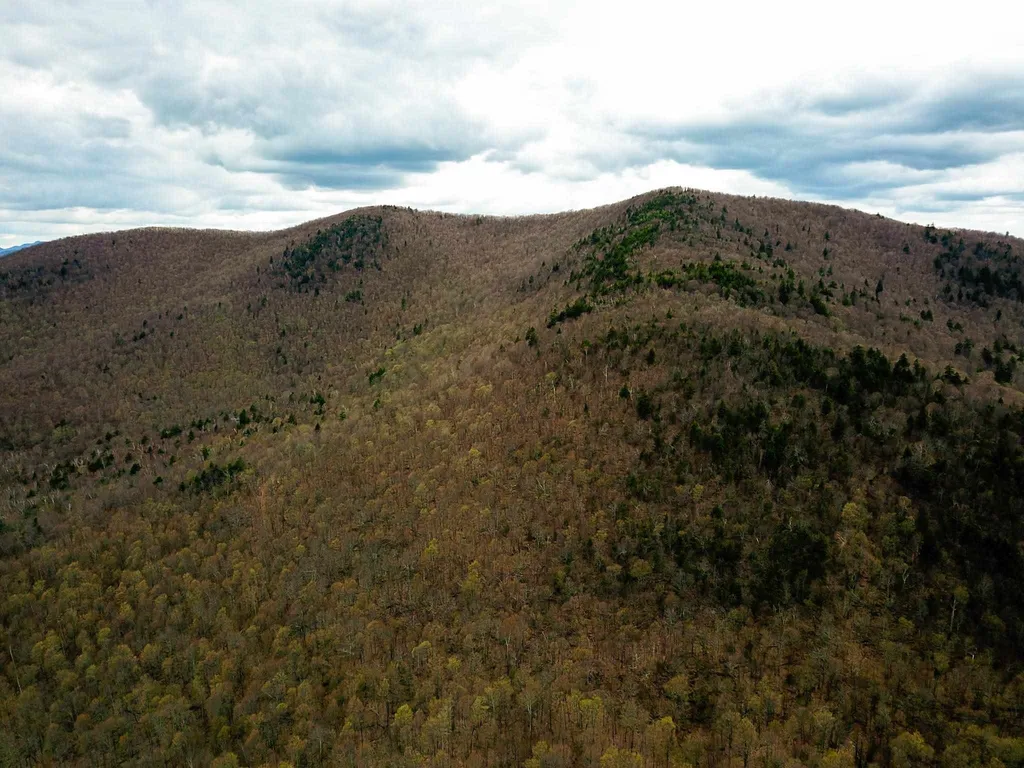 1705 Charlie Wilson Road Bethel VT 05032
