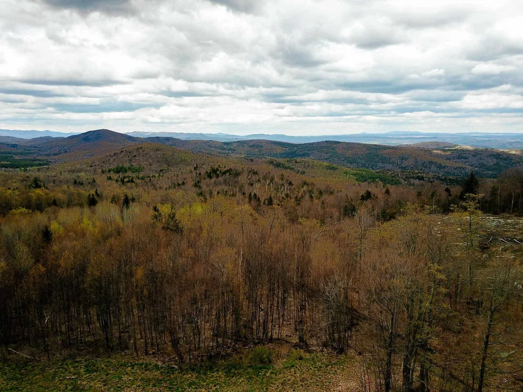 1705 Charlie Wilson Road Bethel VT 05032