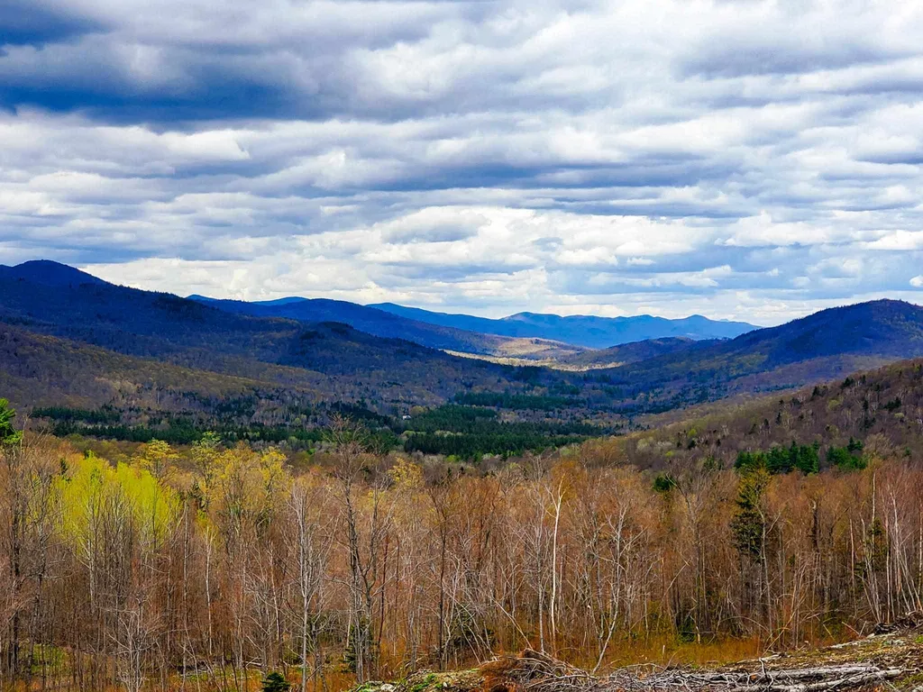 1705 Charlie Wilson Road Bethel VT 05032